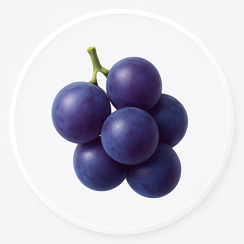 Grape seed icon