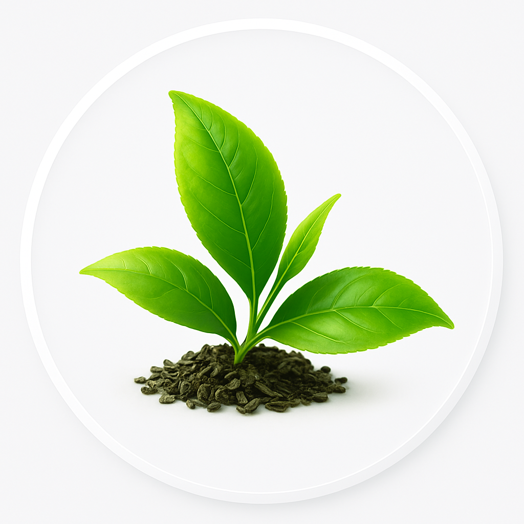 Green tea icon
